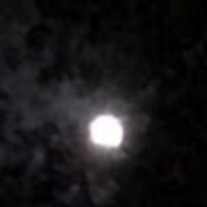 Meet your Posher, Kayley